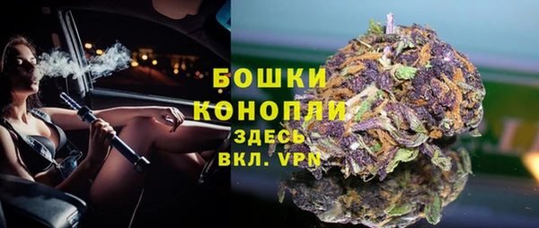 соль ск Арсеньев