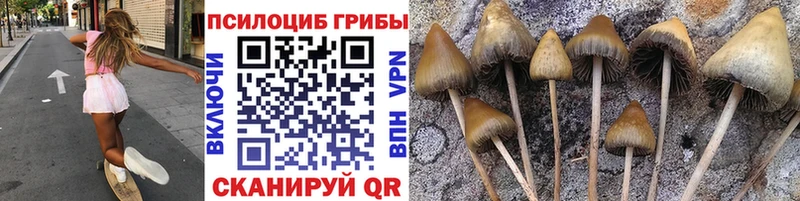 Галлюциногенные грибы MAGIC MUSHROOMS Салехард